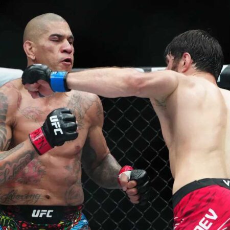 Cejudo Recommends Pereira to Wait Before Ankalaev Rematch