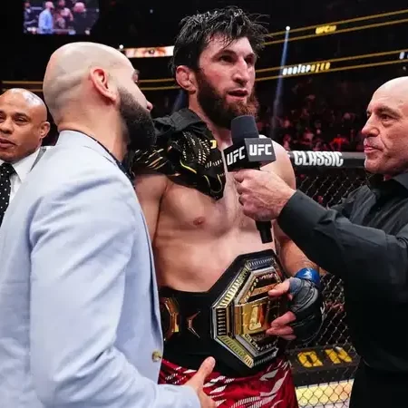 Alex Pereira Reportedly Declines Rematch Offer Against Magomed Ankalaev at UFC 317