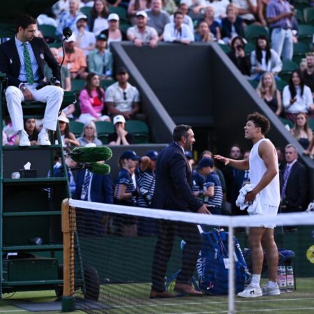 Wimbledon: Monfils and Shelton Matches Suspended Due to Darkness