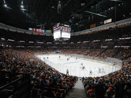The Anaheim Ducks: Building the Next Western Hockey Powerhouse