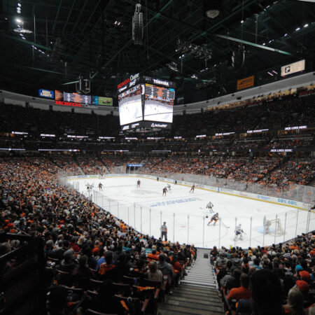 The Anaheim Ducks: Building the Next Western Hockey Powerhouse