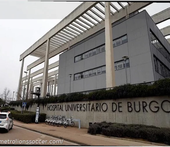 Shelton and Rublev Sent Packing as Miami Open Loses Six More Seeds in the Men’s Draw