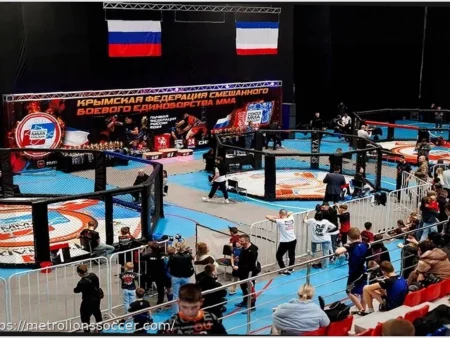 Kamenev R.M. Cup: Annual MMA Tournament in the Republic of Crimea, Supported by MMA Union of Russia