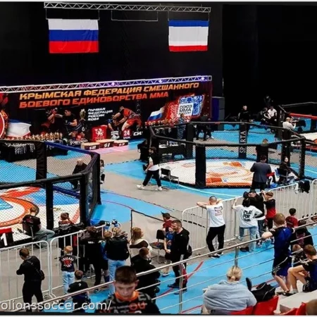Kamenev R.M. Cup: Annual MMA Tournament in the Republic of Crimea, Supported by MMA Union of Russia